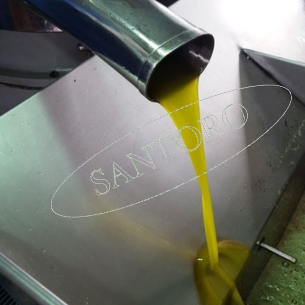 Italian olive oil